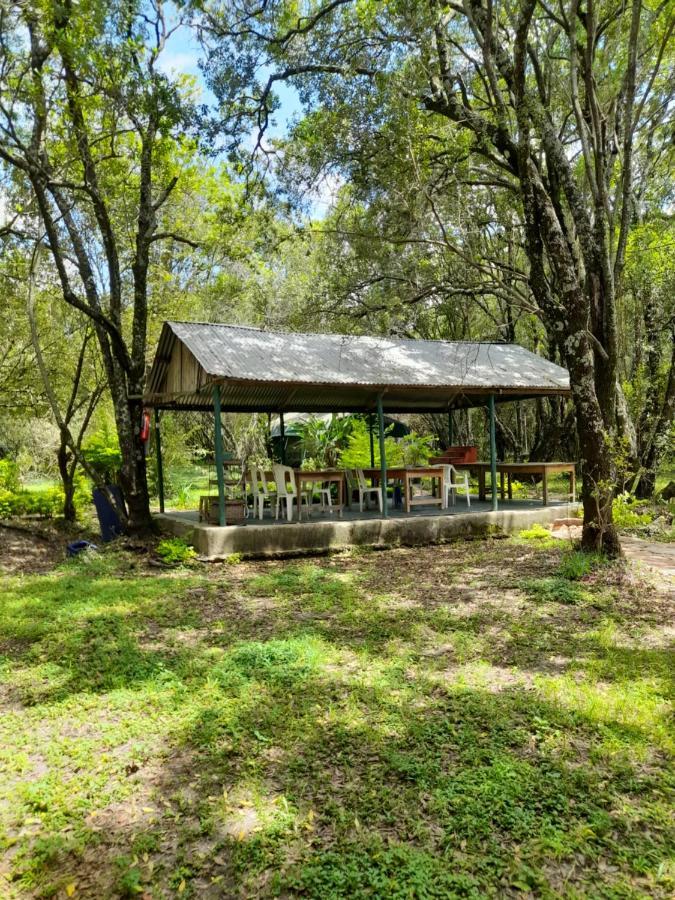 Отель Leruk Maasai Mara Camp Sekenani Экстерьер фото