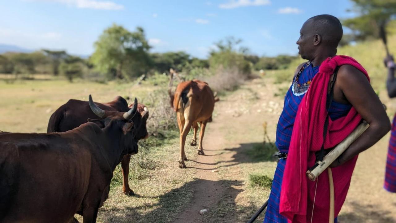 Отель Leruk Maasai Mara Camp Sekenani Экстерьер фото